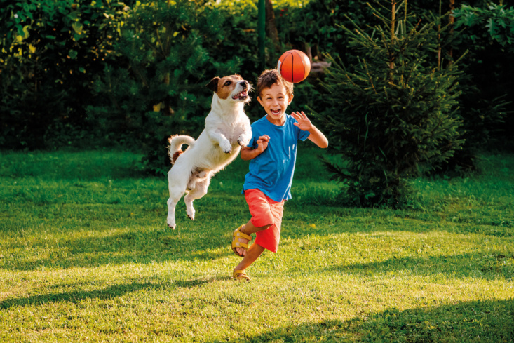 Petit garçon avec son chien